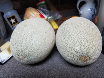 melons